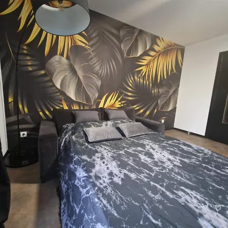 Apartment Spacieux *