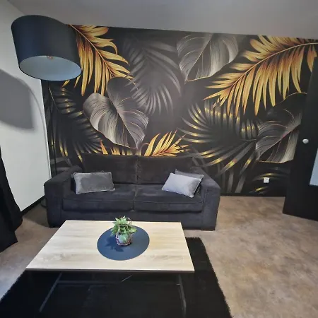 Apartment Spacieux Mulhouse